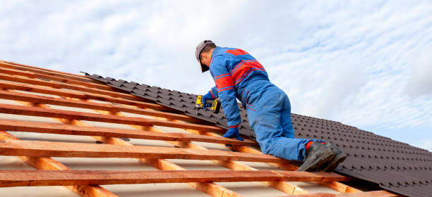 Best Sheet Metal Roofing  in Galva, IL
